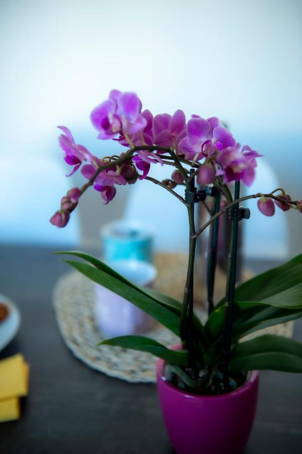 San Frediano Jewel Appartement Florence Buitenkant foto